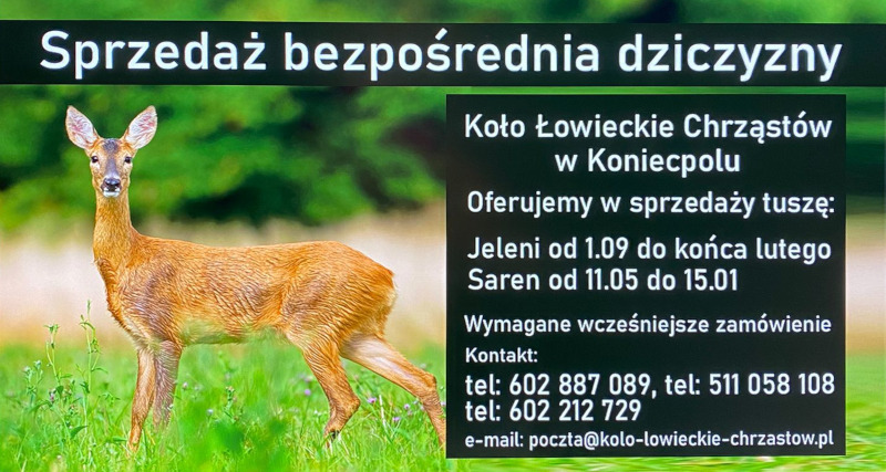 bezpośrednia sprzedaż dziczyzny