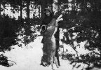 Lata 50-06