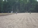 Rok 2009