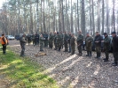 Rok 2011