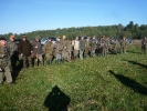 Rok 2011